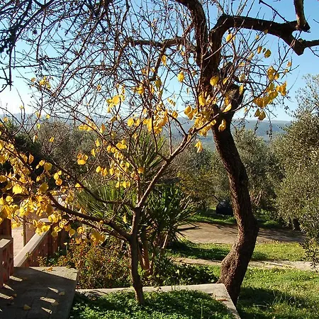 Le Cicale Vieste