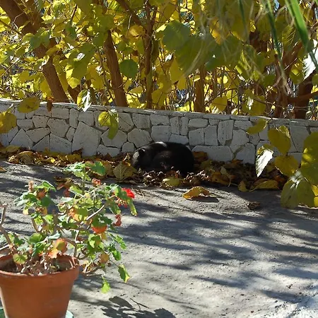 Bed & Breakfast Le Cicale