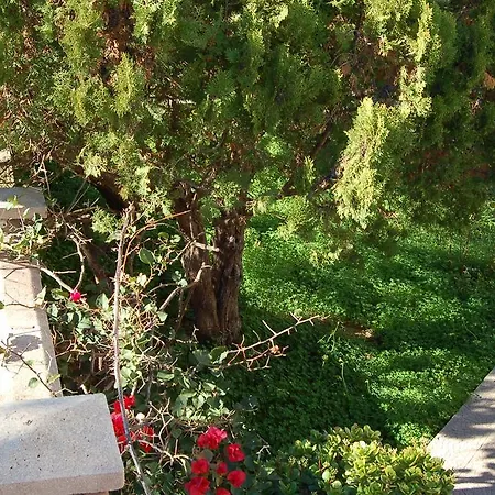 Le Cicale Bed & Breakfast *