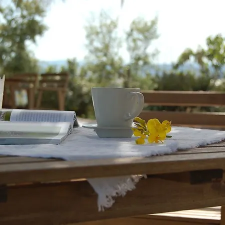 Bed & Breakfast Le Cicale *
