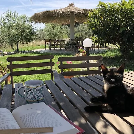 Le Cicale Vieste